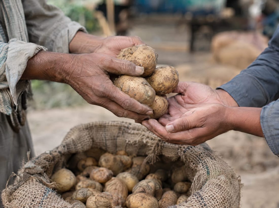 A farmer passing potatoes into a trader's hands